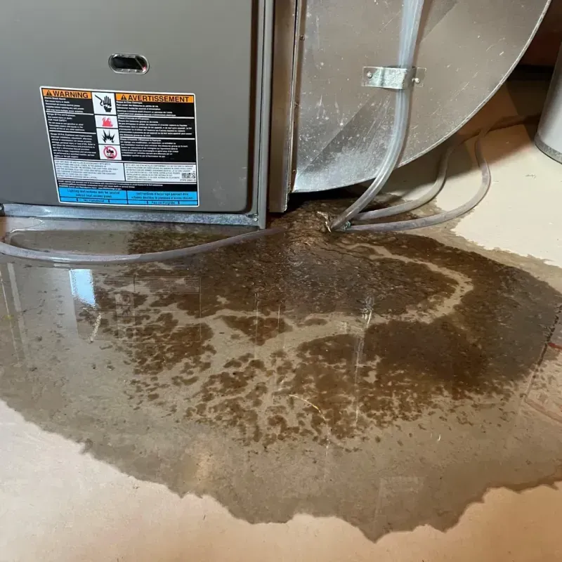 Appliance Leak Cleanup in Palmview South, TX